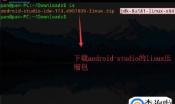 如何在Linux系统下安装Android Studio