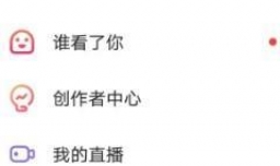 雷蓝怎么展示程序化信息