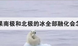 如果南极和北极的冰全部融化会怎样