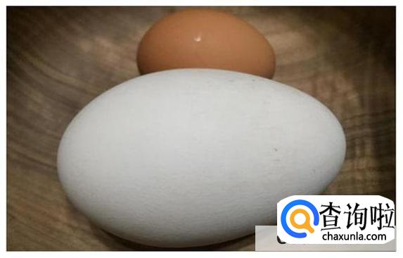 宝宝能吃鹅蛋吗