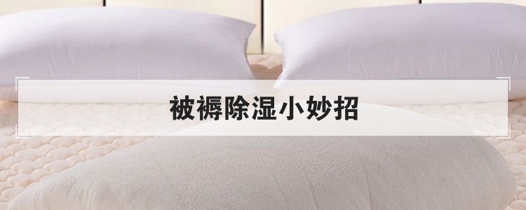 被褥除湿小妙招