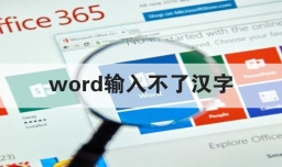 word输入不了汉字