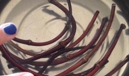 鸡血藤手镯教程