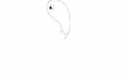 简笔画大鹅是怎么画的