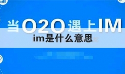 im是什么意思
