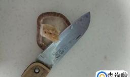 手把手教你做卤肉饭