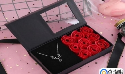 圣诞节送什么礼物给自己的女朋友