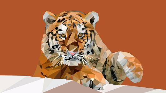 水肖是哪几个肖