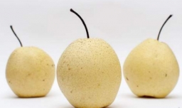 吃雪梨的好处和坏处