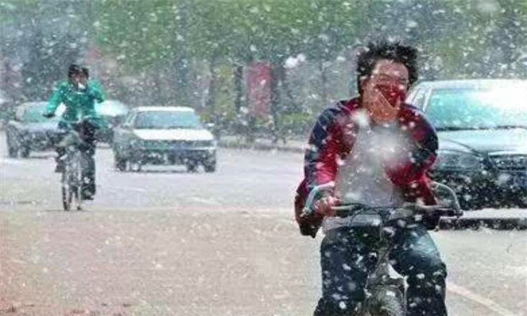 家里到处都是柳絮怎么办