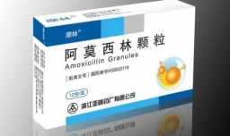 狗耳朵发炎的症状，狗狗耳朵化脓阿莫西林