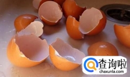 家庭养花之怎么用鸡蛋壳制作花肥