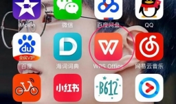 手机WPS字数统计