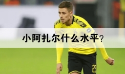 小阿扎尔什么水平？