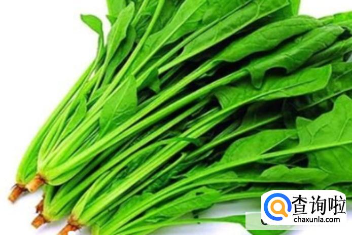 菠菜的食用禁忌有哪些