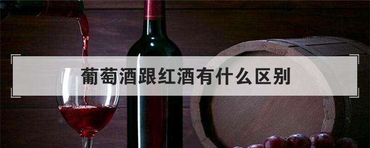葡萄酒跟红酒有什么区别