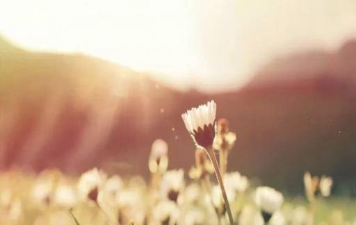 如何让自己的生活如我们所愿？