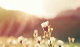 如何让自己的生活如我们所愿？