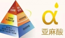 α-亚麻酸对小孩的作用