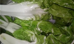 牛皮菜怎么做好吃？