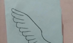 如何画一只老鹰