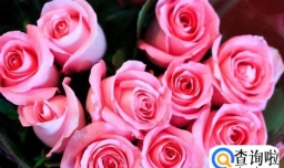 结婚一周年送老婆什么礼物好