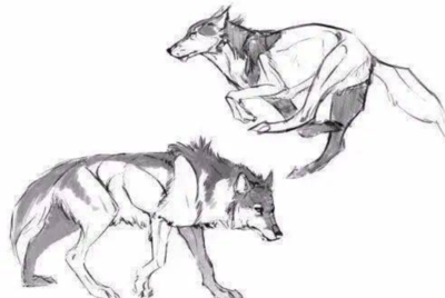 狼文言文原文及翻译