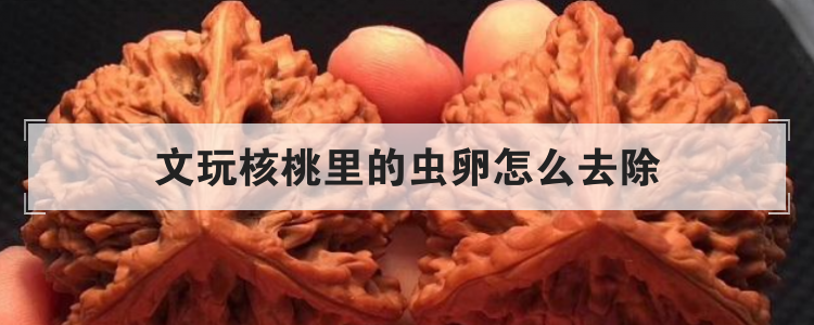 文玩核桃里的虫卵怎么去除