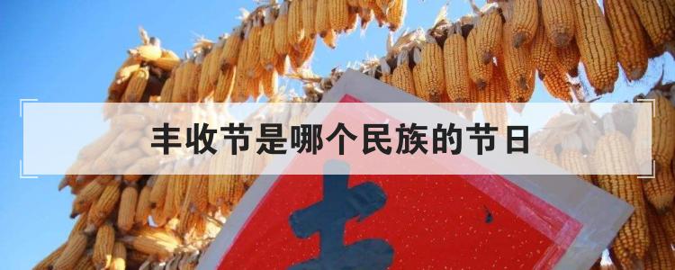 丰收节是哪个民族的节日