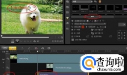 什么软件可以做视频