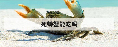 死螃蟹能吃吗