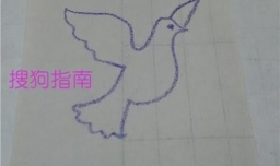 怎样简单画一只鸽子