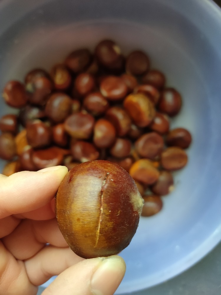 板栗怎么煮好吃又简单
