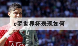 c罗世界杯表现如何