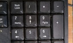 键盘上的数字键盘打不出来数字是怎么回事