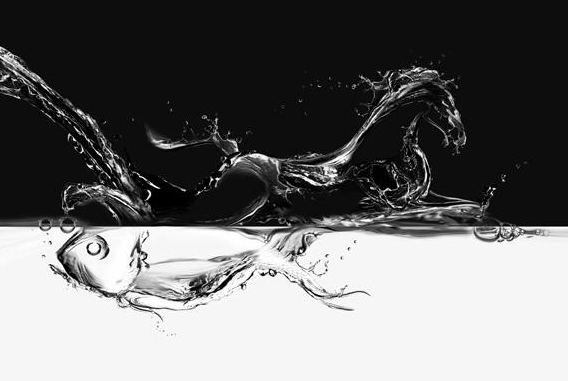 插排可以带上飞机吗