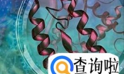 丙酸血症的病因是什么