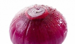 如何在家里进行水培洋葱