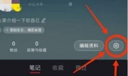 小红书语音现场如何关闭