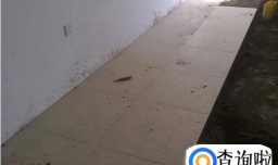 瓷砖表面釉破损怎么办