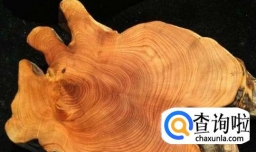 到底我们该如何辨别太行崖柏的真假呢？