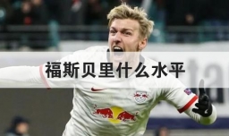 福斯贝里什么水平