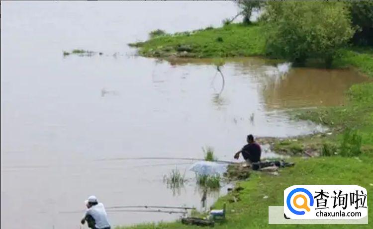 初学者钓鱼技巧，新手如何钓鱼？