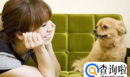 养宠物的好处有哪些？