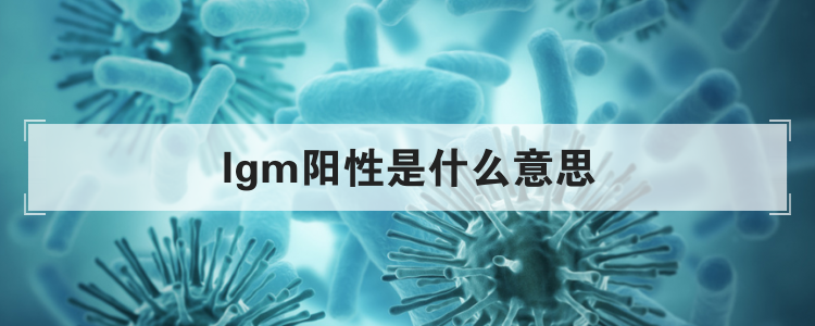 lgm阳性是什么意思