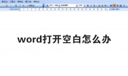 word打开空白怎么办