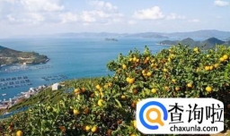 日本旅游路线规划--东京爱情故事