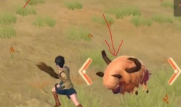 创造与魔法游戏中如何无伤打牛并且获取牛筋