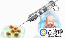 什么是试管婴儿