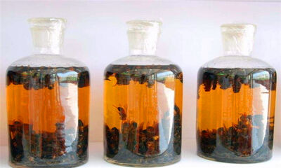 药酒是在哪个朝代之后出现